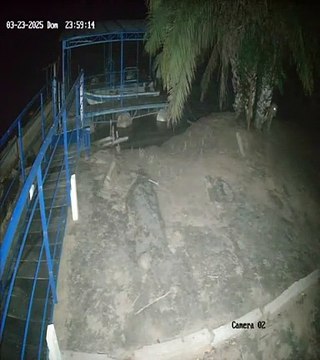 Homem é devorado por onça-pintada em fazenda no Mato Grosso do Sul