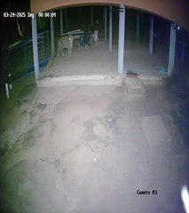 Homem é morto por onça no Pantanal; equipe de resgate também é atacada pelo animal