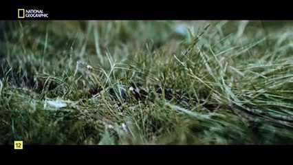 Documental Brujas, más allá de la leyenda: 4- Suecia, la leyenda de Blakulla