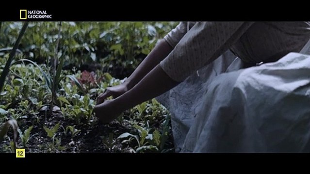 Brujas, más allá de la leyenda: Estados Unidos, la caza e histeria de Salem