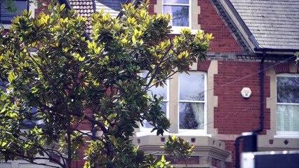 Should we make voting compulsory?