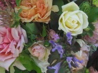 Danyel Gérard - Les roses sont fanées