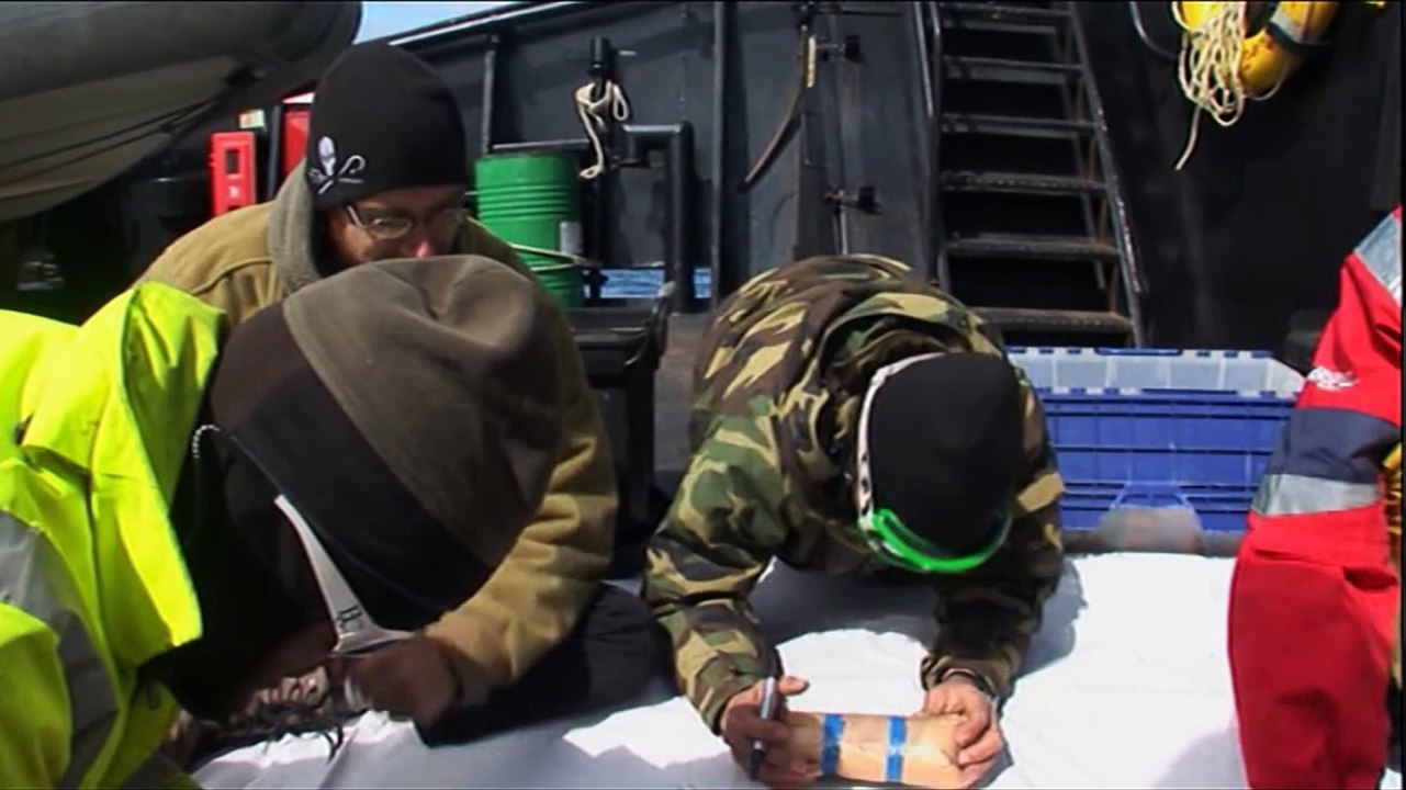 Whale Wars_S01E02_Klar Zum Entern!