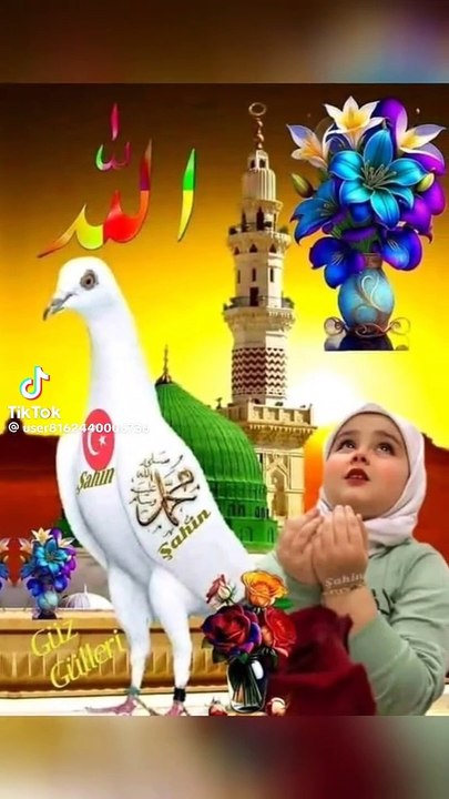 فديو علمي