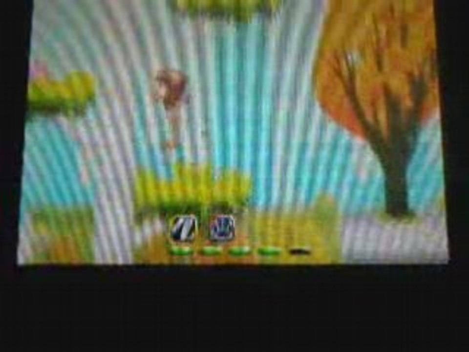 Test Madagascar - Nintendo DS