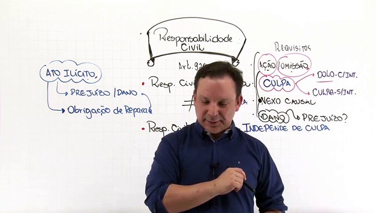 46DC Responsabilidade Civil