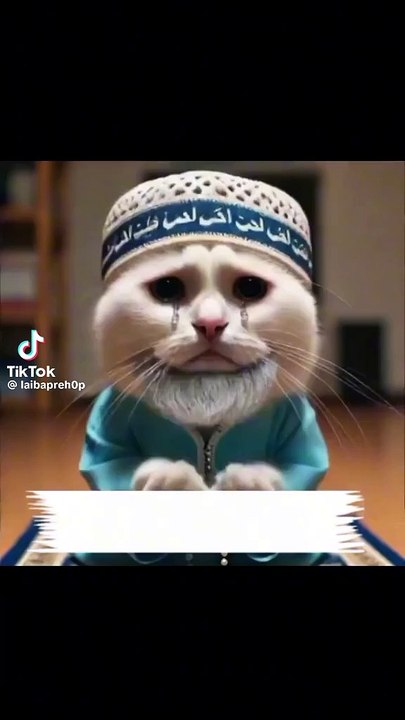 BIVI METHAY MEVE