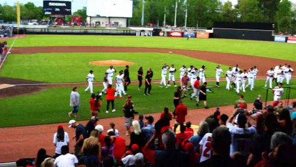 News From the Nest - Allstate Glass