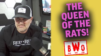 Black, White, Other: Woman Kept Over 300 Rats!