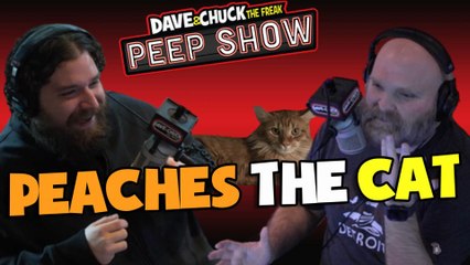 Peep Show: Peaches the Cat