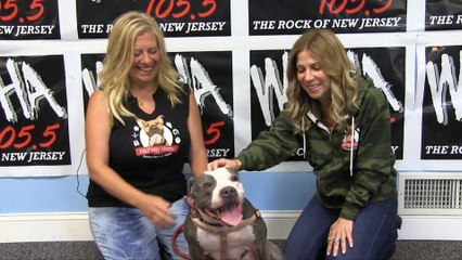 WDHA's Rock N' Ruff - "Remy"