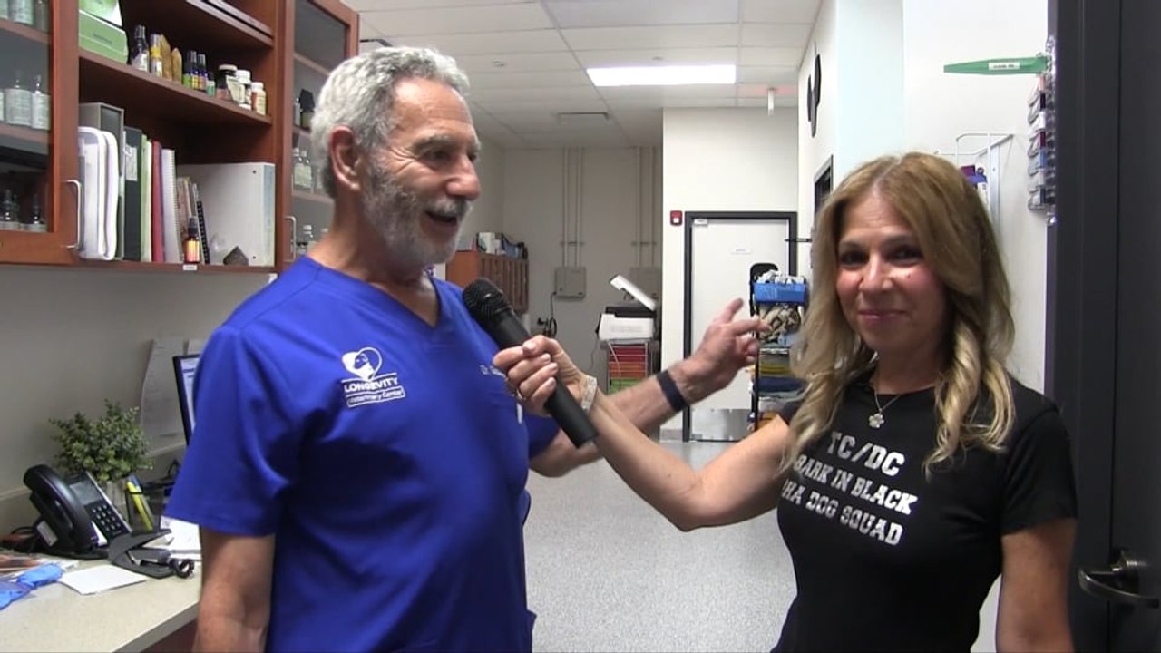 Rock N' Ruff Roundtable - Longevity Veterinary Center (Part 2)