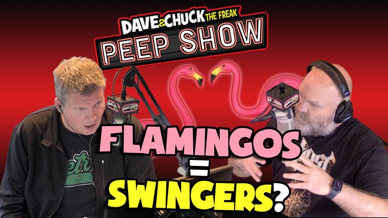 Flamingos = Swingers?