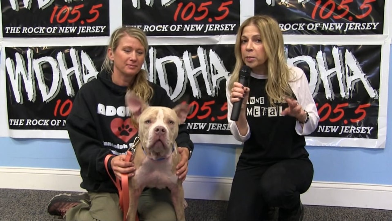 WDHA's Rock N' Ruff - 