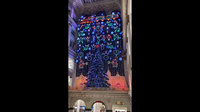 O Christmas Tree at the Macy's Holiday Light Show