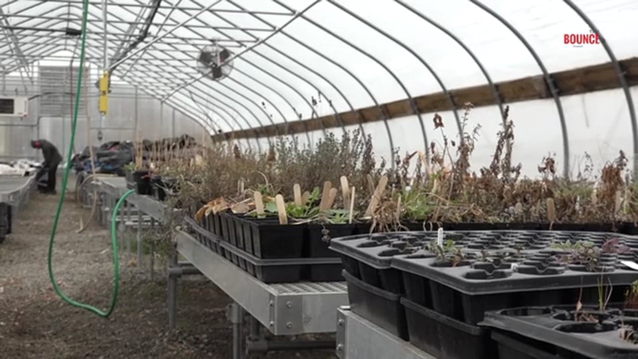 Keep Growing Detroit Farm Tour, March 2024