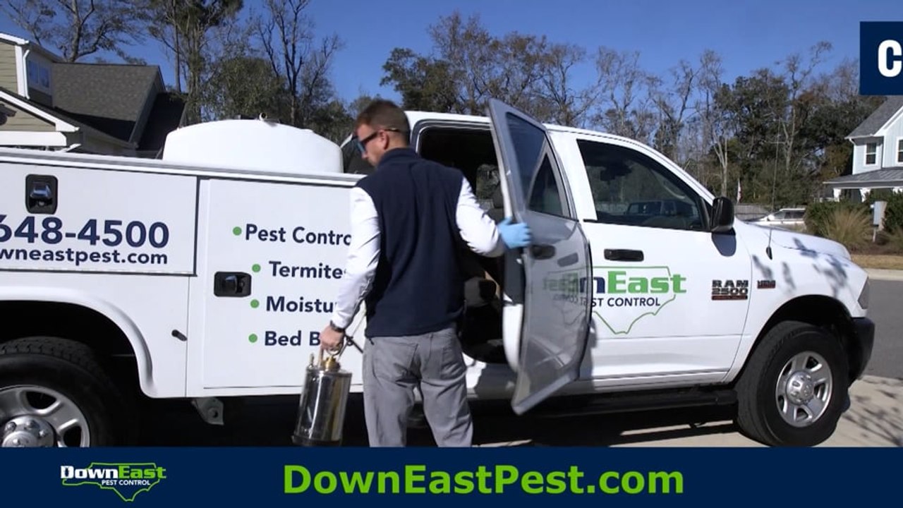 Down East Pest Control - Beasley Preferred Pros