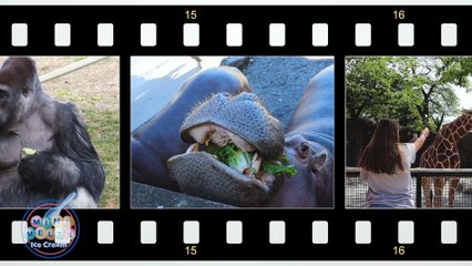 Mini Melts P&S JUN24 V1