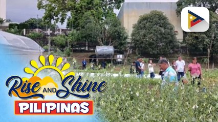 Programang agrikultura na mayroong agham at teknolohiya sa Los Banos Laguna, tuklasin