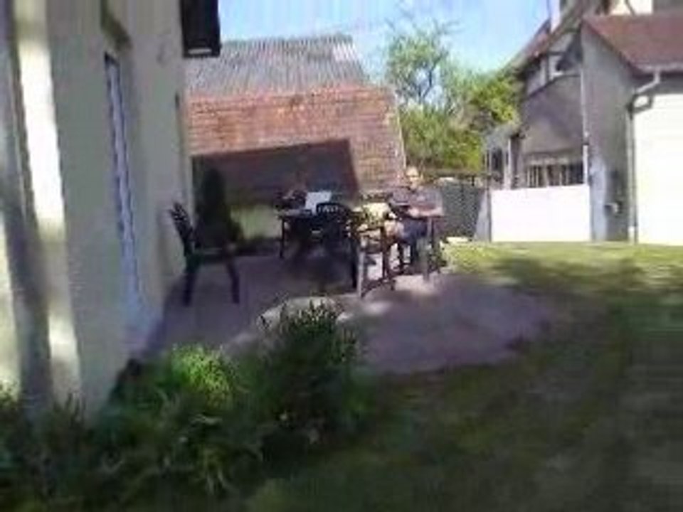rires de cochons