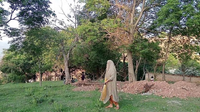 Hardworking Woman Village Life Pakistan on Tree House | Traditional Village Food | Stunning Pakisan