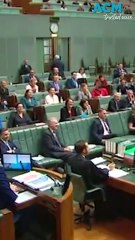 Expert Analyzes Why Peter Dutton Is Being Called 'Temu Trump' Amid Political Buzz 🇦🇺