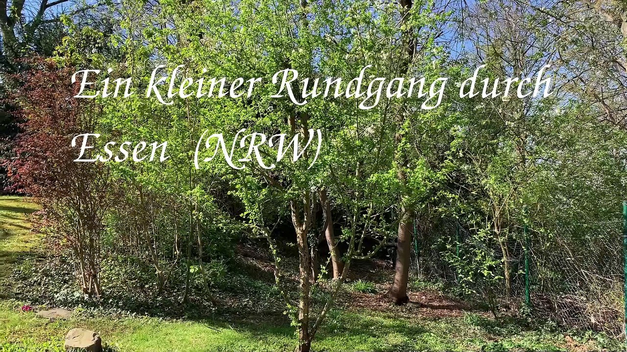 Ist der Essener Norden wirklich so grau wie viele vermuten?