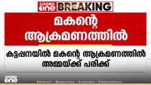 അമ്മയെ മകൻ കോടാലികൊണ്ട് ആക്രമിച്ചു; കാരണം കോഴിക്കൂട് മാറ്റുന്നതിനെ ചൊല്ലിയുള്ള തർക്കം