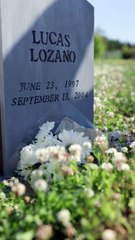 I Married Her as a Joke... Until I Saw Her Crying | Eng Sub Full Episode