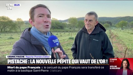 Chocolat Dubaï: les pistachiers français voient leurs commandes exploser