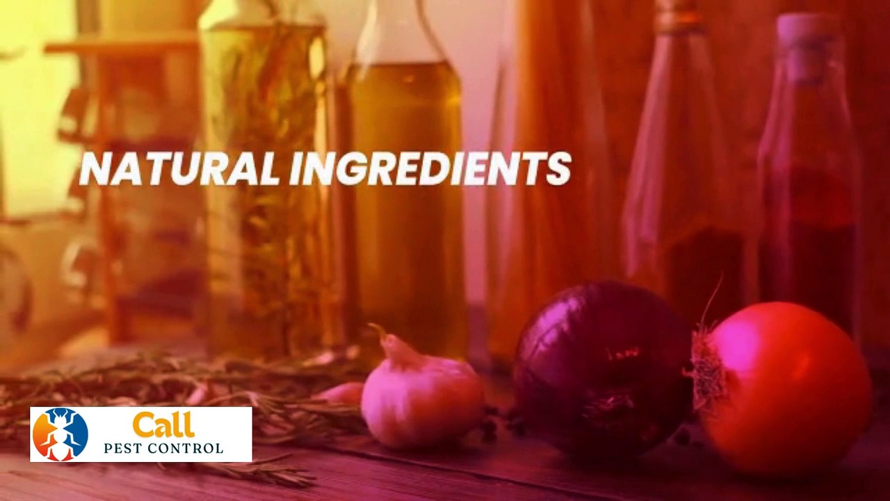 How to Make a Natural Pest Repellent Spray for Indoor Plants