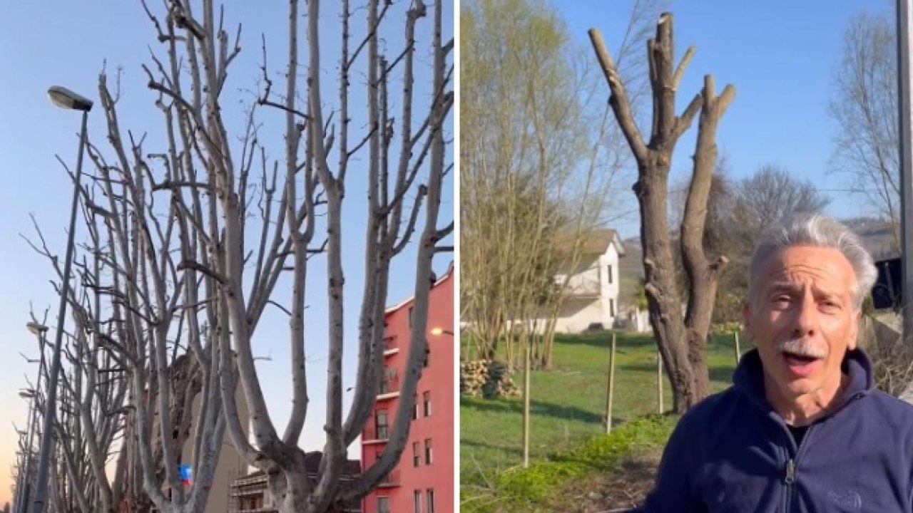 Giovanni Storti (senza Aldo e Giacomo) si lamenta delle potature ad Alessandria