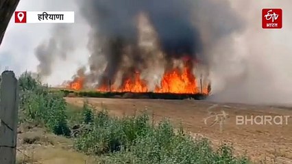 सिरसा में गेहूं की खेतों में लगी आग, 4 अलग-अलग इलाकों में अग्नितांडव, 20 एकड़ में लगी आग