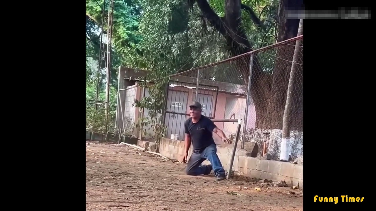 Funny Mistakes Video Collection28
