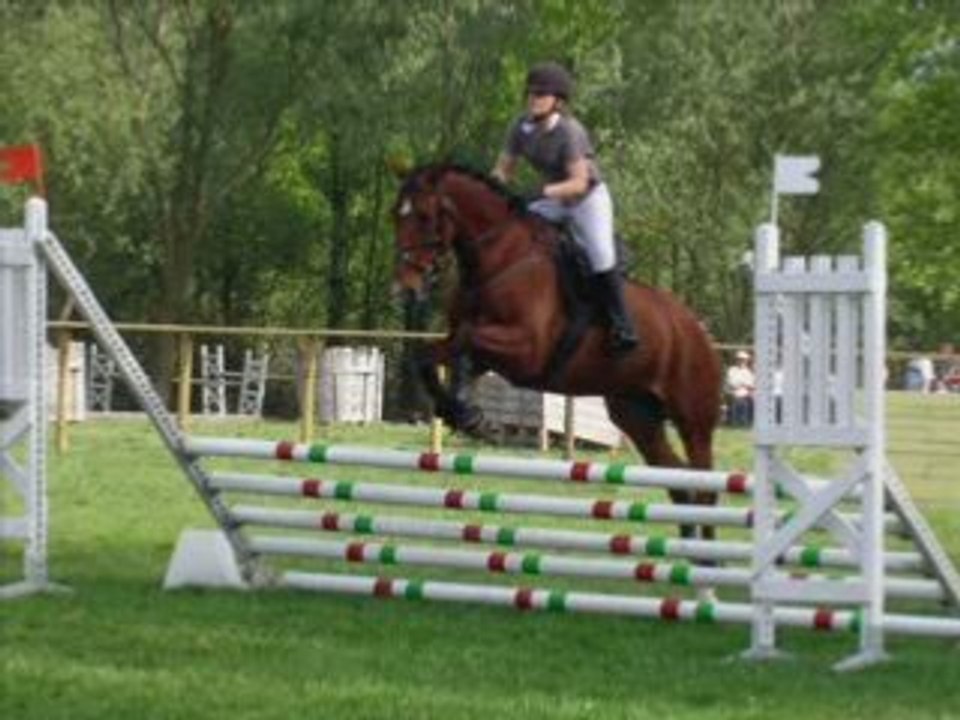 CCE Obstacle