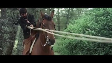 Django. Adiós! _ Polski Lektor _  Western