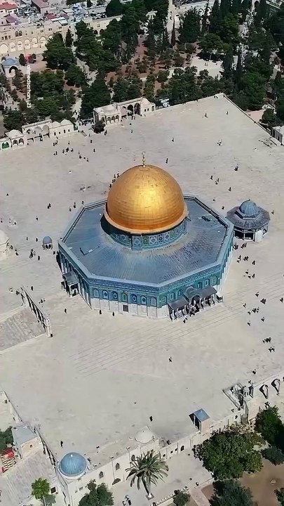 Free_🇵🇸