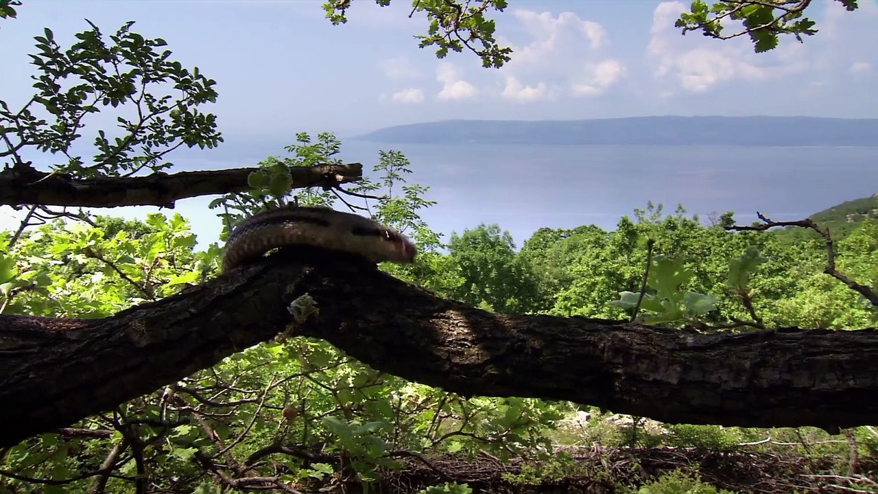 S01e03.Rise.Of.Giants