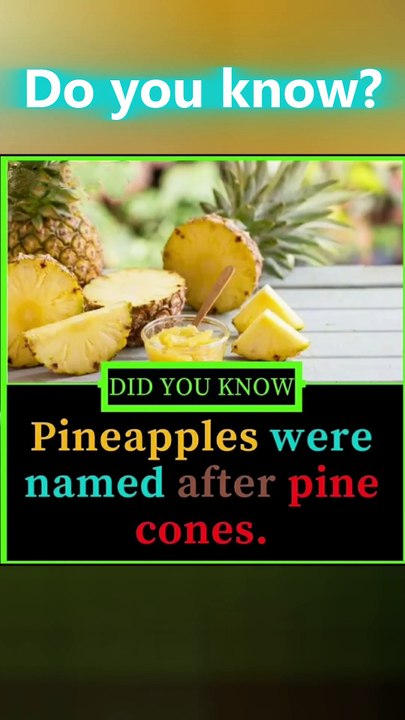 Pineapples Are Named After Pine Cones! 🍍 | Surprising Food Fact
