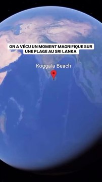 On a vécu un moment magnifique sur une plage au Sri Lanka 🤩