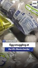 Egg smuggling at the US-Mexico border