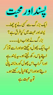 پسند اور محبت میں کیا فرق ہے؟ | دلچسپ اور مفید اسلامی نقطہ نظر