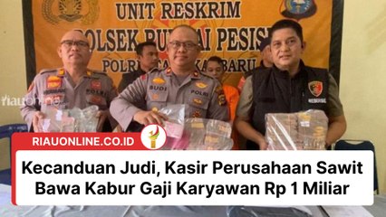 Kecanduan Judi, Kasir Perusahaan Sawit Bawa Kabur Gaji Karyawan Rp 1 Miliar