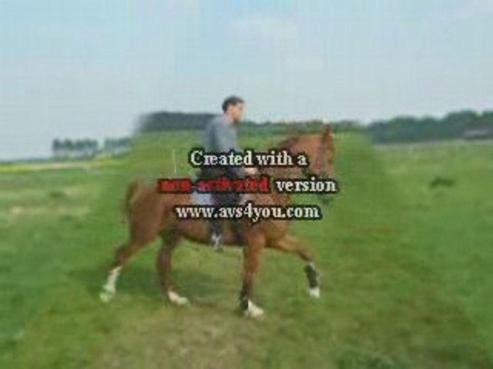 Cours LUCIOLE