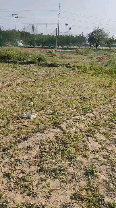 नॉएडा में जमीन खरीदना है बिलकुल आसान हर कोई ले सकता है यहाँ प्लॉट जमीन सस्ते और किफाइटी दर में प्लॉट बुक करने के लिए अभी हमें कॉल करें 9341489502
