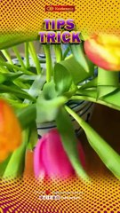 Tips Trick Today, Rabu 23 April 2025