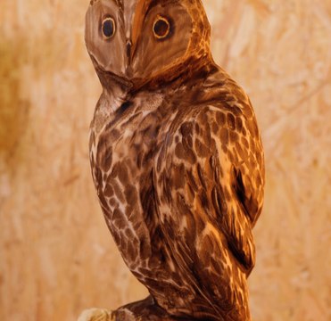 TRAVAIL DU BOIS : Transformer le bois en art !