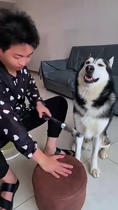 1000078636