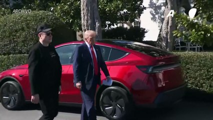 Musk reducirá el tiempo que dedica al gobierno de Trump para centrarse en Tesla