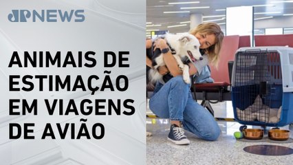 Senado deve votar transporte aéreo de animais nesta quarta (23)